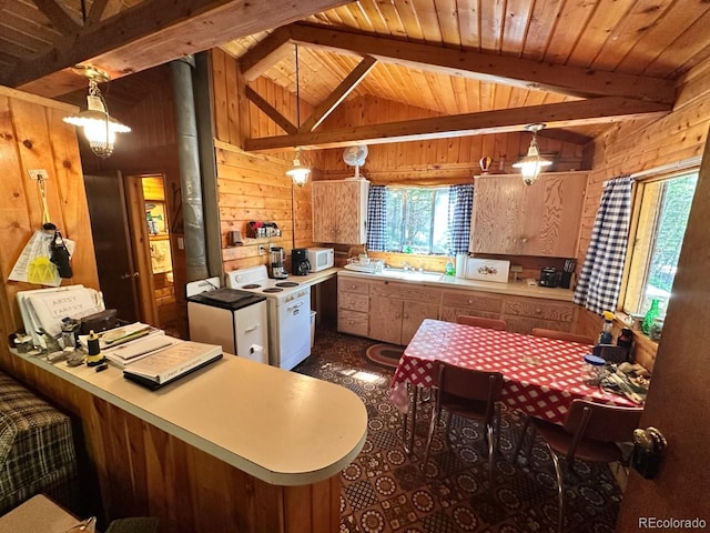 22560 County Road 292 A, Nathrop, CO 81236 - photo 5