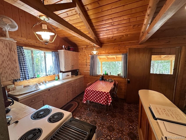 22560 County Road 292 A, Nathrop, CO 81236 - photo 6