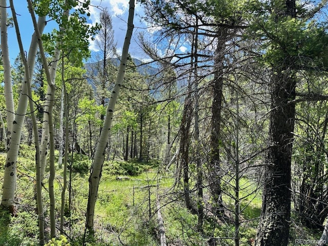 22560 County Road 292 A, Nathrop, CO 81236 - photo 17
