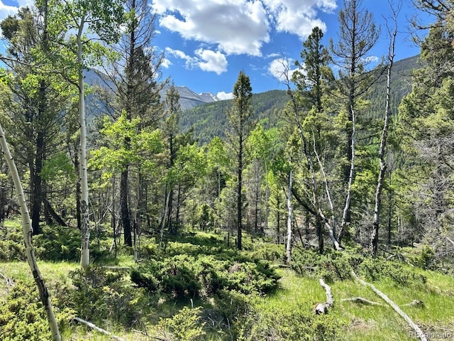 22560 County Road 292 A, Nathrop, CO 81236 - photo 18