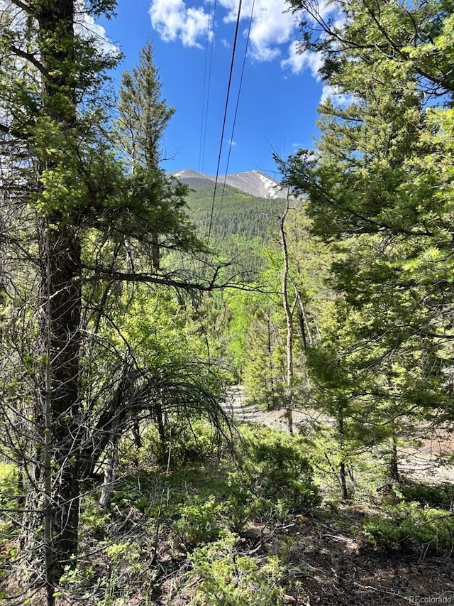 22560 County Road 292 A, Nathrop, CO 81236 - photo 19
