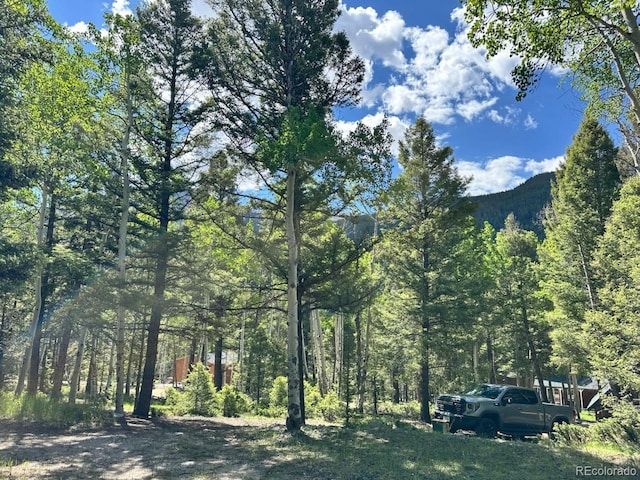 22560 County Road 292 A, Nathrop, CO 81236 - photo 20