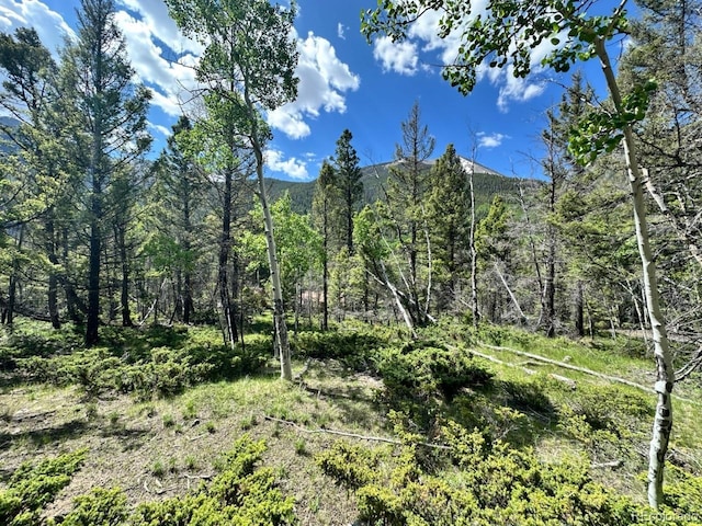 22560 County Road 292 A, Nathrop, CO 81236 - photo 21