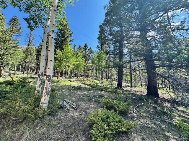 22560 County Road 292 A, Nathrop, CO 81236 - photo 22