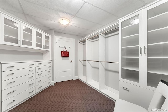 2001 Lincoln St Unit 2524, Denver, CO 80202 - walk in closet featuring dark colored carpet and a paneled ceiling