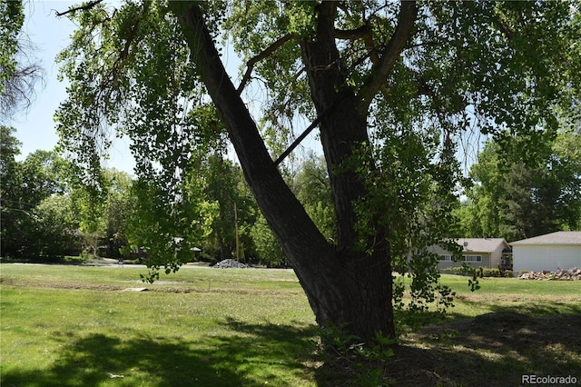 4229 Garrison St, Wheat Ridge, CO 80033