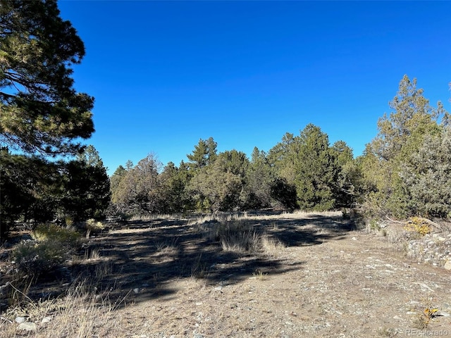 Listing photo 2 for 25 Pioneer Rd, Mosca CO 81144