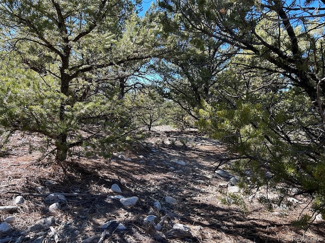 25 Pioneer Rd, Mosca, CO 81144 - photo 4
