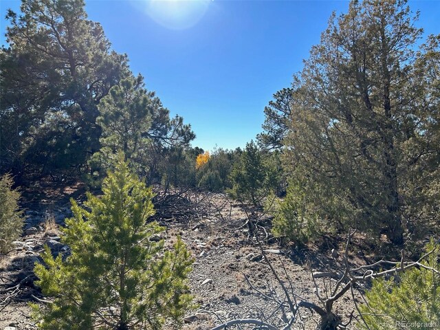 25 Pioneer Rd, Mosca, CO 81144 - photo 5