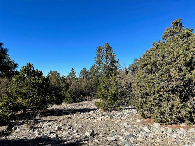 25 Pioneer Rd, Mosca, CO 81144 - photo 6