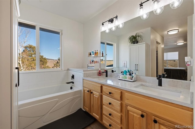 bathroom featuring vanity and a bath