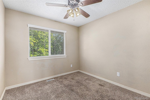 6540 Mustang Pony Way, Colorado Springs, CO 80922 - photo 19