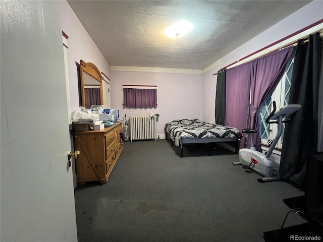 1069 US Highway 285, Monte Vista, CO 81144 - bedroom with radiator heating unit and carpet flooring
