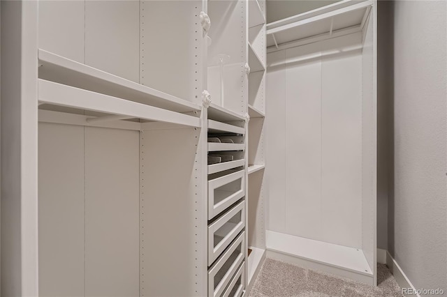 15595 E 47th Dr, Denver, CO 80239 - walk in closet with carpet
