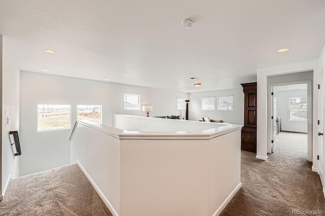 154 Cortona Pl, Castle Pines, CO 80108 - photo 26