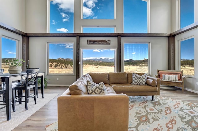 10617 County Rd 1, Florissant, CO 80816 - living room with a high ceiling, plenty of natural light, light wood-style flooring, and baseboards