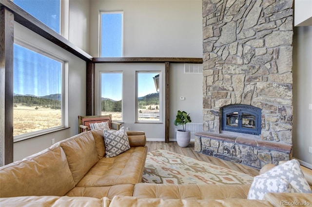 10617 County Rd 1, Florissant, CO 80816 - living area with a mountain view, wood finished floors, plenty of natural light, a high ceiling, and a fireplace