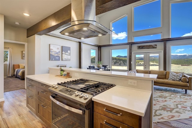 10617 County Rd 1, Florissant, CO 80816 - kitchen featuring stainless steel gas range, island range hood, light wood-style floors, french doors, and open floor plan