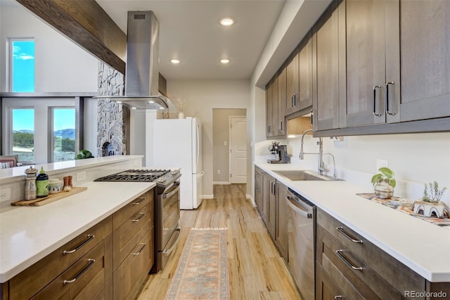 10617 County Rd 1, Florissant, CO 80816 - kitchen with appliances with stainless steel finishes, island exhaust hood, a sink, light wood-type flooring, and light countertops