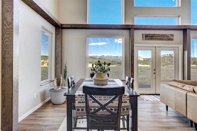 10617 County Rd 1, Florissant, CO 80816 - dining room featuring light wood finished floors, french doors, a towering ceiling, and baseboards