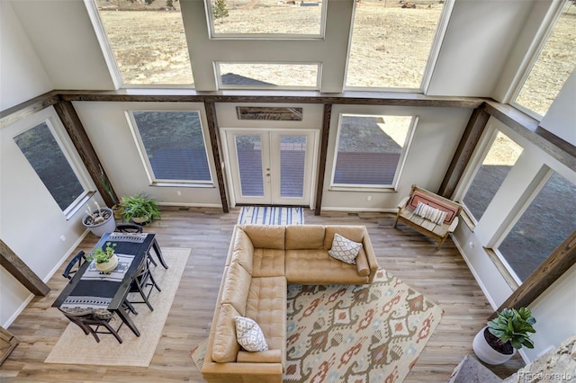 10617 County Rd 1, Florissant, CO 80816 - living room featuring wood finished floors, baseboards, and french doors