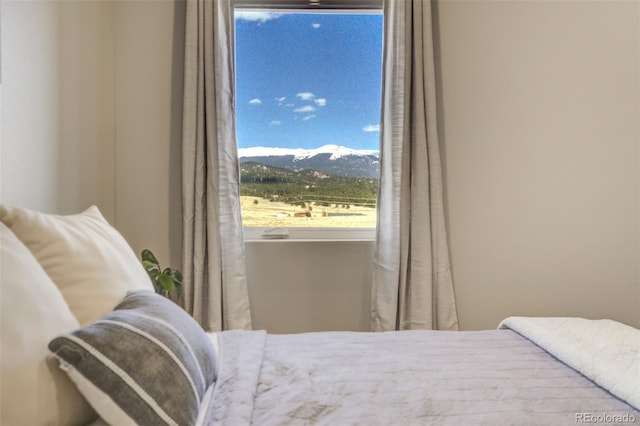 10617 County Rd 1, Florissant, CO 80816 - view of bedroom