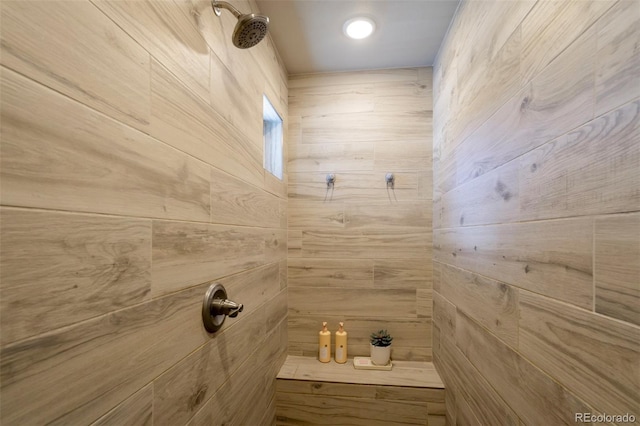 10617 County Rd 1, Florissant, CO 80816 - full bathroom with tiled shower and wooden walls