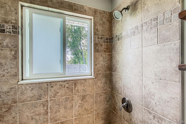 9146 W 89th Ct, Broomfield, CO 80021 - full bathroom with a shower