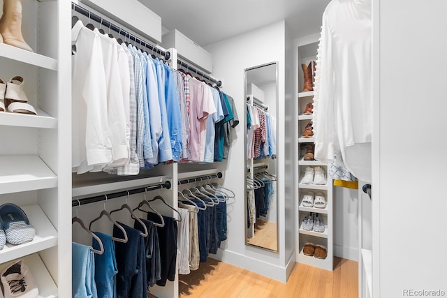 walk in closet featuring light wood-style flooring