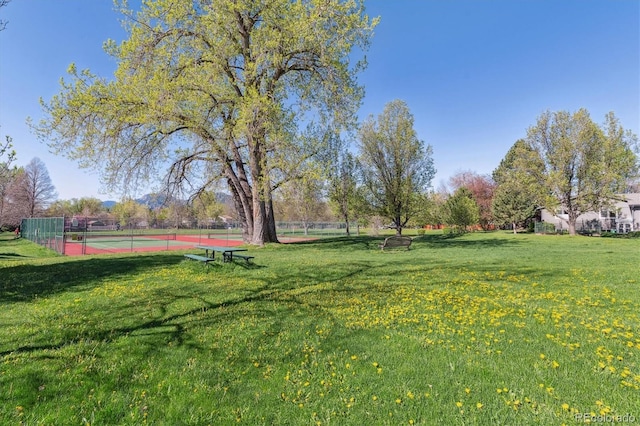 4059 Nevis St, Boulder, CO 80301 - view of yard featuring a tennis court