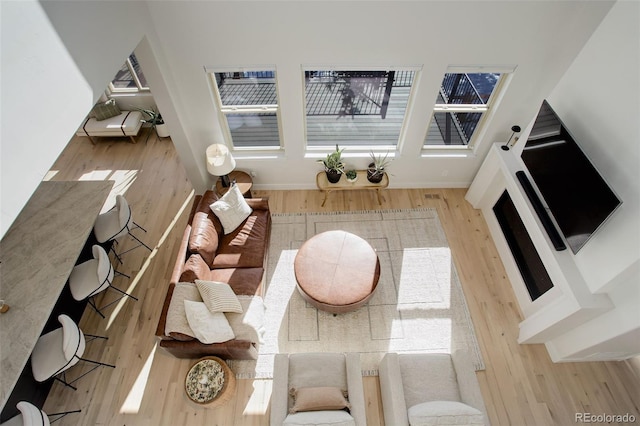 living room with wood-type flooring