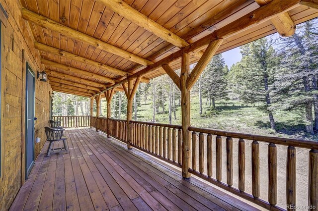540 County Road 356, Westcliffe, CO 81252 - photo 24