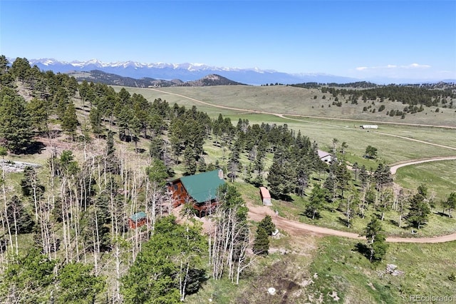 540 County Road 356, Westcliffe, CO 81252 - photo 36