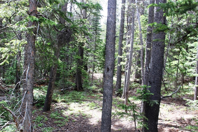 LOT209 Upper Forest Rd, Idaho Springs CO, 80452 land for sale