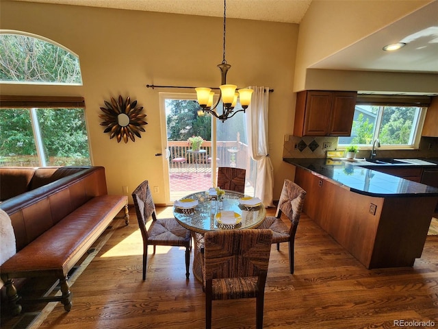596 S Lindsey St, Castle Rock, CO 80104 - photo 8