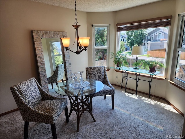 596 S Lindsey St, Castle Rock, CO 80104 - photo 15