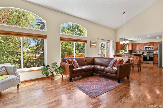 596 S Lindsey St, Castle Rock, CO 80104 - photo 7