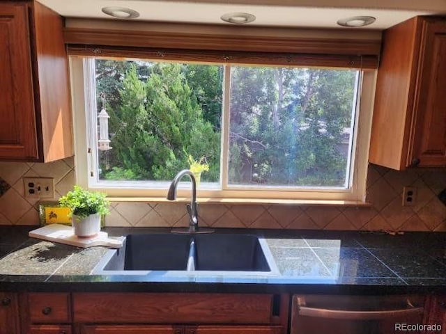 596 S Lindsey St, Castle Rock, CO 80104 - photo 14