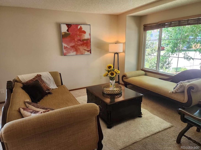 596 S Lindsey St, Castle Rock, CO 80104 - photo 16