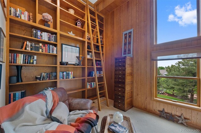 9 Red Fox Ln, Littleton, CO 80127 - living area featuring carpet flooring and wood walls