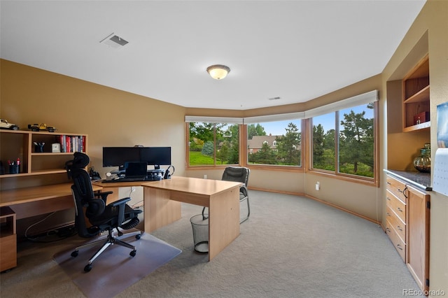 9 Red Fox Ln, Littleton, CO 80127 - office space with light carpet