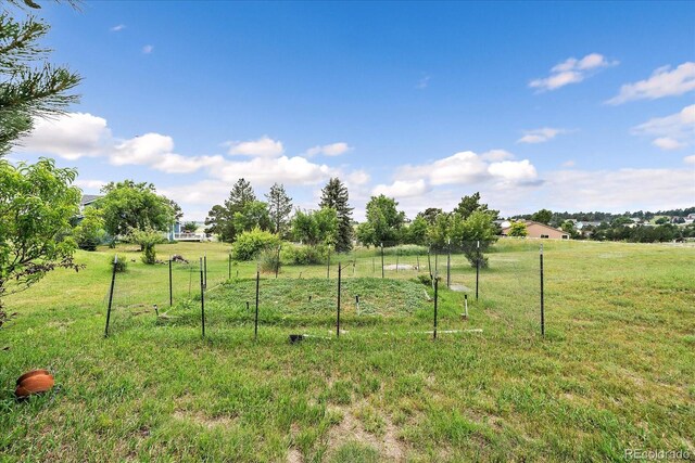 3672 Deer Creek Dr, Parker, CO 80138 - photo 30
