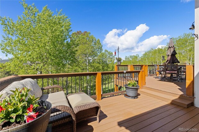 11033 Barker Ave, Conifer, CO 80433 - photo 36