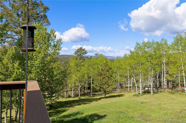 11033 Barker Ave, Conifer, CO 80433 - photo 38
