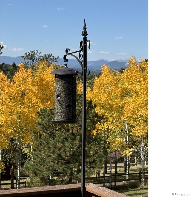11033 Barker Ave, Conifer, CO 80433 - photo 40