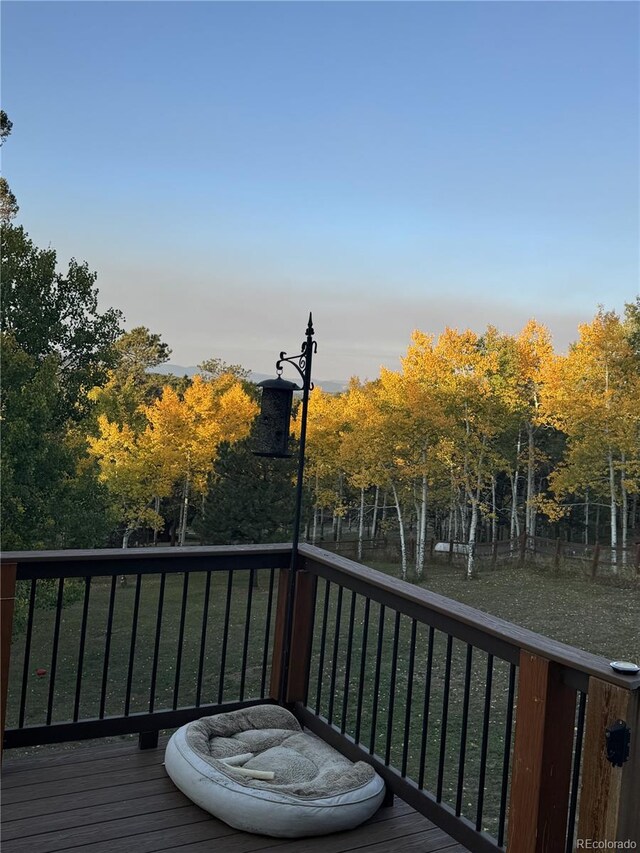 11033 Barker Ave, Conifer, CO 80433 - photo 41