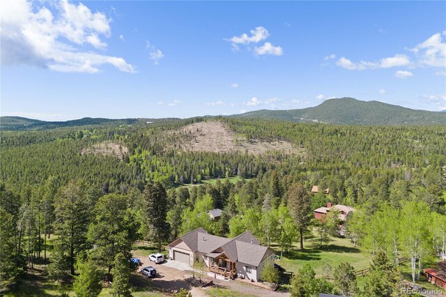 11033 Barker Ave, Conifer, CO 80433 - photo 45