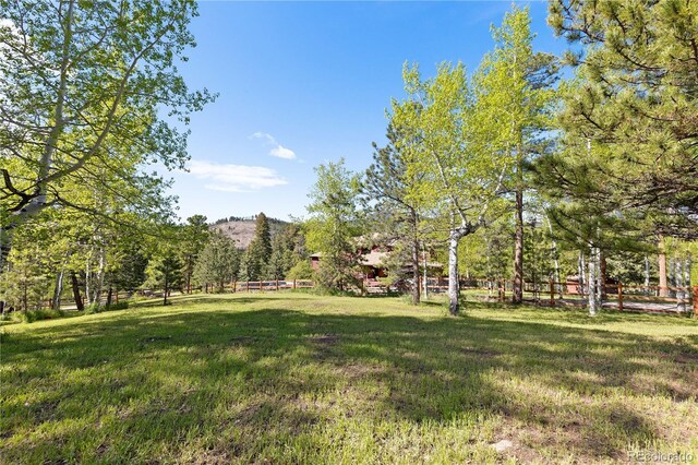 11033 Barker Ave, Conifer, CO 80433 - photo 46