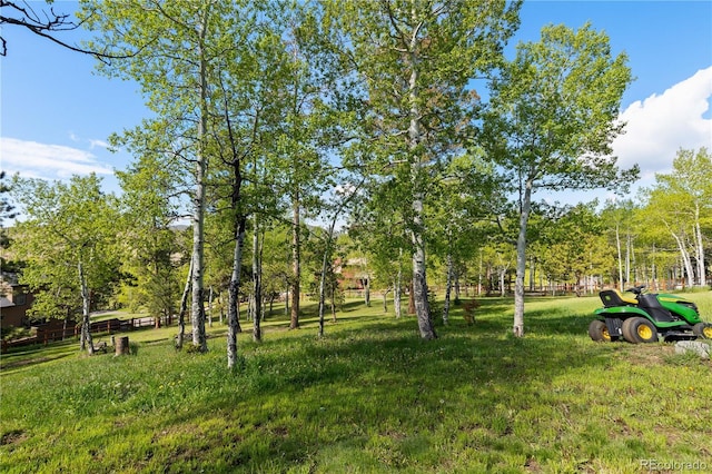 11033 Barker Ave, Conifer, CO 80433 - photo 47