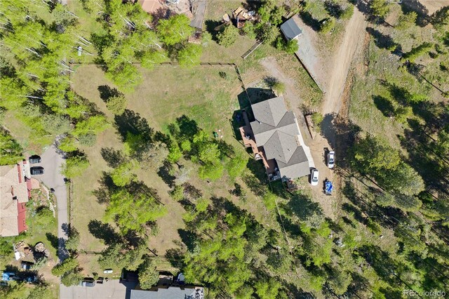 11033 Barker Ave, Conifer, CO 80433 - photo 49